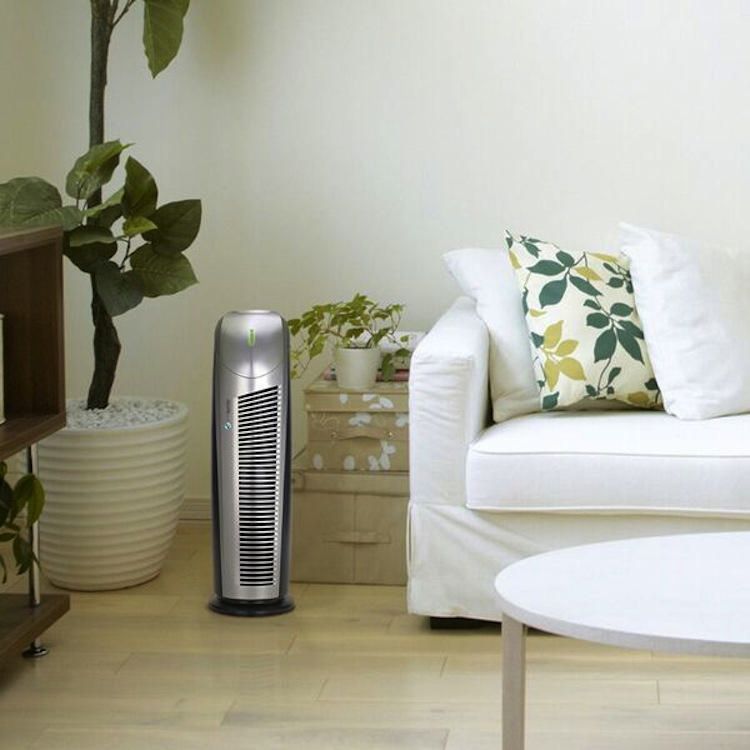 PureGuardian Air Purifier AP2200CA HEPAFresh Walmart.ca