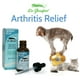 Arthritis Relief – image 1 sur 1