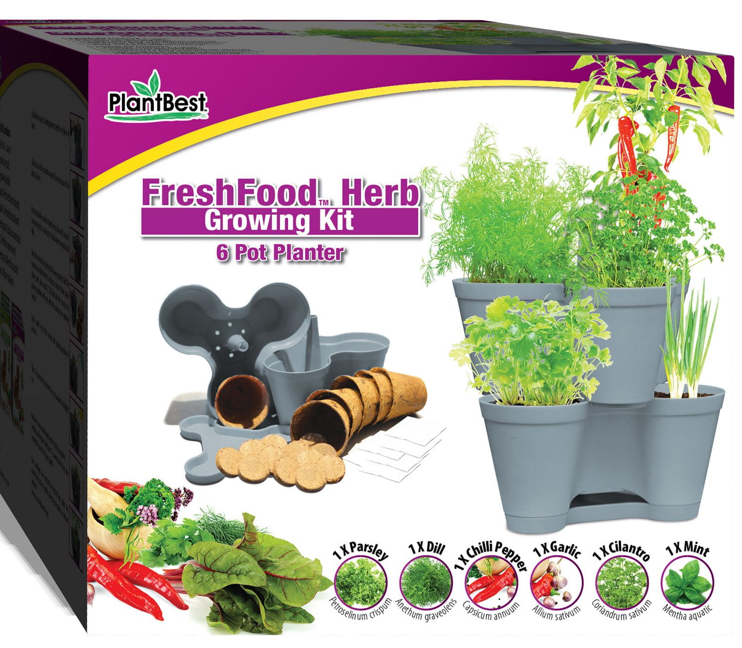 PlantBest, Inc. Freshfood Herb Growing Kit Walmart Canada