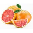 thumbnail image 1 of Pamplemousse, 1 of 1