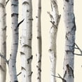 thumbnail image 1 of PAPIER PEINT ARBRE BOULEAU, 1 of 2