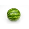 thumbnail image 1 of Mini melon d'eau sans pépins Vendu individuellement, 1 of 1