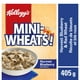 Céréales Kellogg's Mini-Wheats Récolte de bleuets et blé roux, 405 g – image 1 sur 5