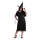 Costume de sorcière (grande taille pour dames 18-20) – image 1 sur 1
