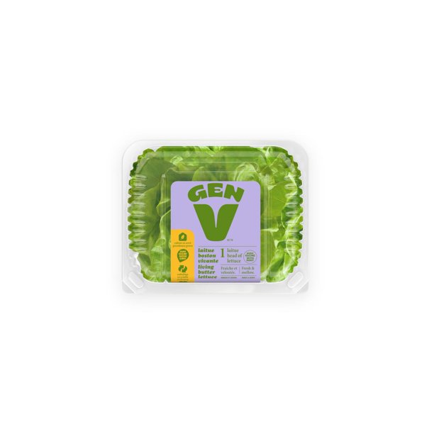 Butter Lettuce, 1 x 1 head of lettuce Walmart.ca