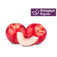 thumbnail image 1 of Organic Nectarines, 1 of 3