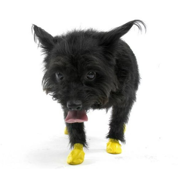 Protex PawZ Pawz Dog Boots (XX-Small)