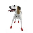 thumbnail image 1 of Protex PawZ Pawz Dog Boots (small), 1 of 7