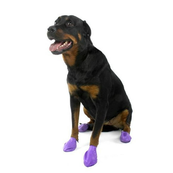 Protex PawZ Pawz Dog Boots (large)