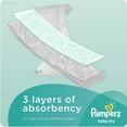 thumbnail image 2 of Pampers Baby Dry - Super Econo Pack, 2 of 5