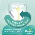 thumbnail image 3 of Pampers Baby Dry - Super Econo Pack, 3 of 5