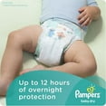 thumbnail image 4 of Pampers Baby Dry - Super Econo Pack, 4 of 5