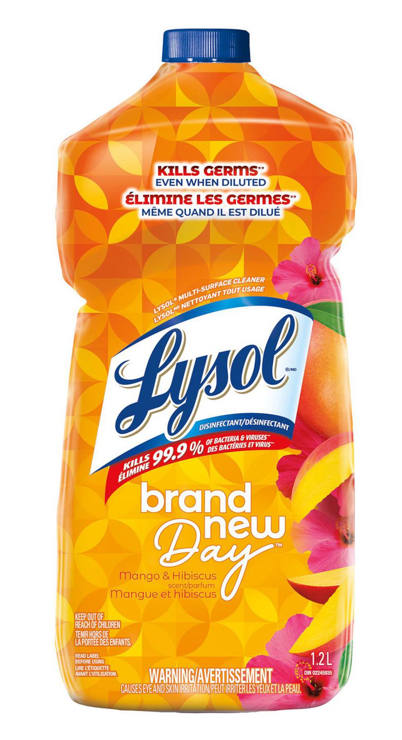 Spray nettoyant pour salle de bain Lysol, Mousse de salle de bain,  Fraîcheur d'été, 950mL, élimine les résidus de savon 946 mL 