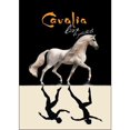 thumbnail image 1 of Cavalia Live!: Cavalia En Spectacle (French), 1 of 1