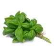 thumbnail image 1 of Basil herbs, 1 of 1