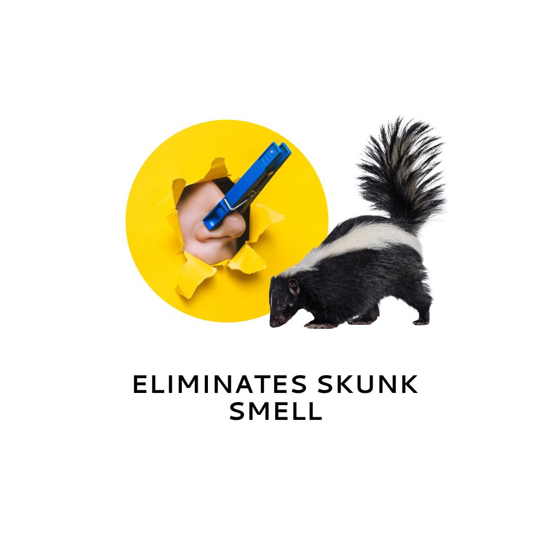 Anti skunk dog shampoo hotsell