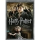 Harry Potter Et Les Reliques De La Mort - 1re Partie (Édition Spéciale De Deux Disques) (Bilingue) – image 1 sur 1