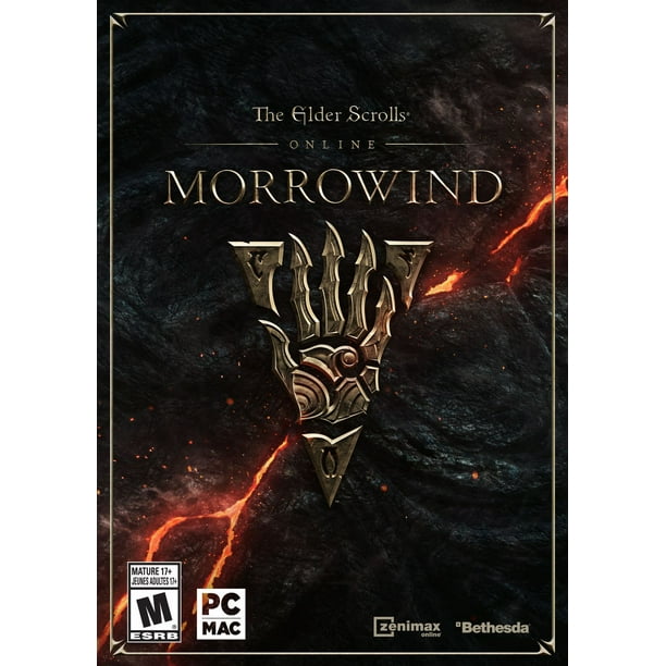 Jeu vidéo The Elder Scrolls Online : Morrowind pour PC
