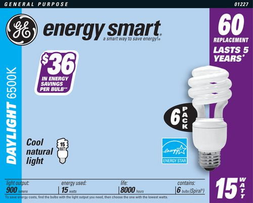 GE 15W Energy Smart Daylight CFL Light Bulb