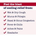 thumbnail image 3 of Buckley's Mucus Relief Cough Cold & Flu Syrup, 3 of 4