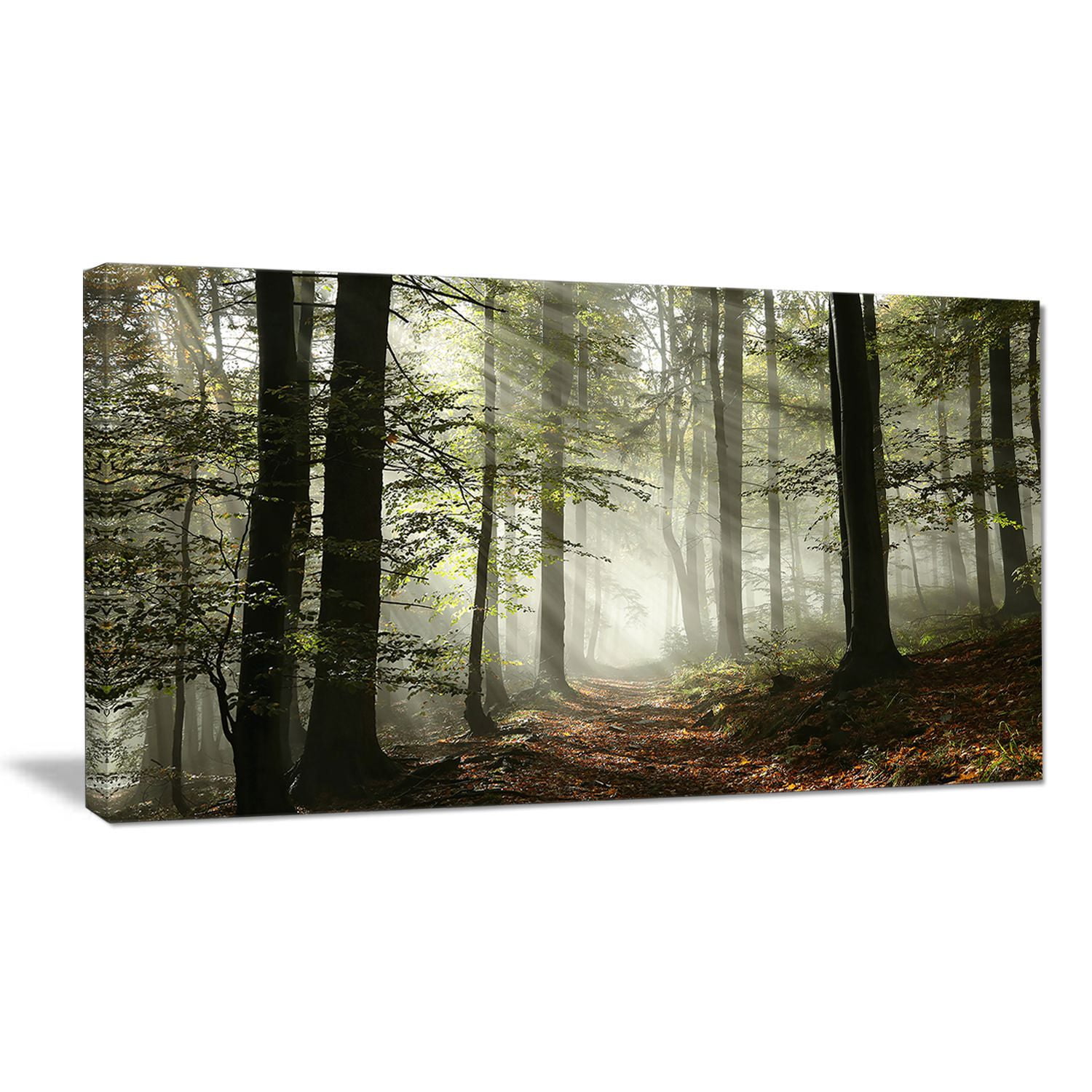 Design Art Light in Dense Fall Forest with Fog Landscape Canvas Art ...