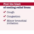 thumbnail image 3 of Buckley's Original Mixture Cough Congestion Syrup - Buckley's Syrups, 3 of 5