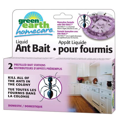 Green Earth Homecare appât liquide à fourmis