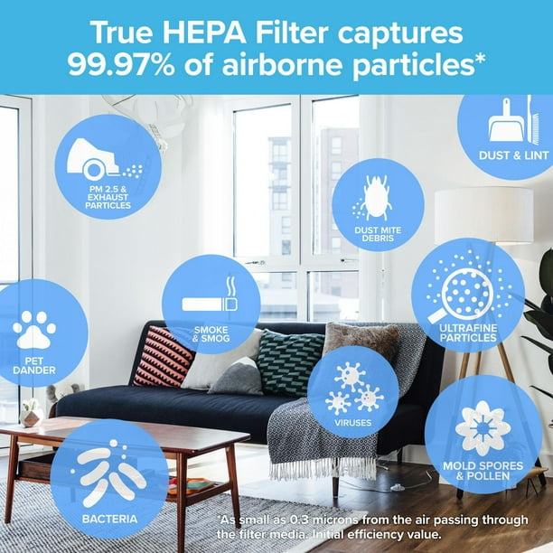 Filtre purificateur d'air , véritable HEPA avec filtre de