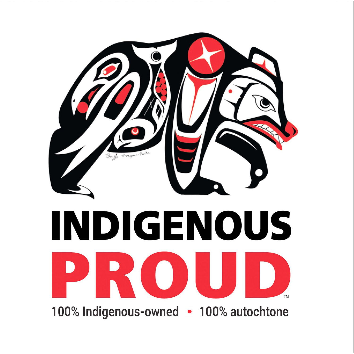 Indigenous Proud Wolf Kids Tee