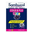 thumbnail image 1 of Sambucol Jr Chew Cold and Flu, 1 of 4