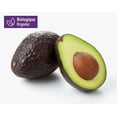 thumbnail image 1 of Your Fresh Market Organic Avocados, Pack of 4, 1 of 8