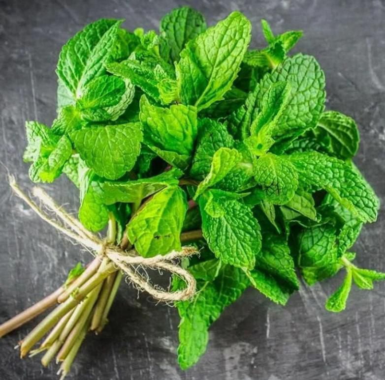 Mint, Fresh, Sold in bunches