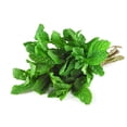 thumbnail image 3 of Mint, Fresh, Sold in bunches, 3 of 7