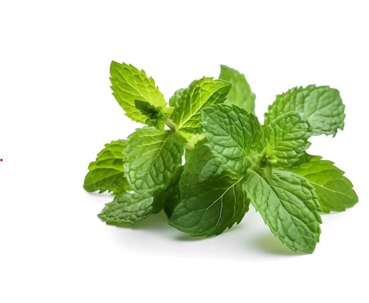 Mint, Fresh, Sold in bunches