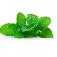 thumbnail image 2 of Mint, Fresh, Sold in bunches, 2 of 7