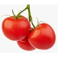 thumbnail image 3 of Organic Tomatoes on A Vine, 4-6 tomatoes, 0.42 - 0.51 KG, 3 of 3