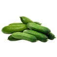 thumbnail image 3 of Mini concombres biologiques Sunset Grown 1 lb, 3 of 8