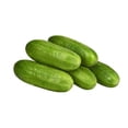 thumbnail image 4 of Mini concombres biologiques Sunset Grown 1 lb, 4 of 8