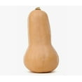 thumbnail image 2 of Squash, Butternut Organic, Sold in singles, 0.76 - 1.40 KG, 2 of 4
