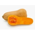 thumbnail image 3 of Squash, Butternut Organic, Sold in singles, 0.76 - 1.40 KG, 3 of 4