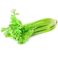 thumbnail image 3 of Céleri branche frais biologique 1 pied, 3 of 6