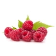 thumbnail image 4 of Framboises, biologique 6 oz, 4 of 6