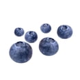 thumbnail image 4 of Fresh Organic Blueberries, 6 oz, 4 of 6