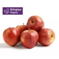 thumbnail image 1 of Pommes Gala biologiques Mon marché fraîcheur Sac de 2 lb, 1 of 8