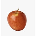 thumbnail image 3 of Pommes Gala biologiques Mon marché fraîcheur Sac de 2 lb, 3 of 8