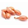 thumbnail image 4 of Onions, Shallot Organic, 4 of 4