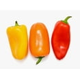 thumbnail image 2 of Mini Peppers , Organic, 1 lb bag, 2 of 4