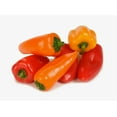 thumbnail image 3 of Mini Peppers , Organic, 1 lb bag, 3 of 4