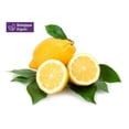 thumbnail image 1 of Your Fresh Market Organic Lemons, 2 lb Bag, 1 of 7