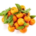 thumbnail image 3 of Organic Mandarin, 2 lb, 3 of 6